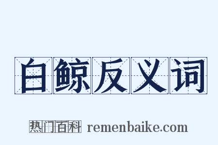 白鲸反义词是什么意思的图片